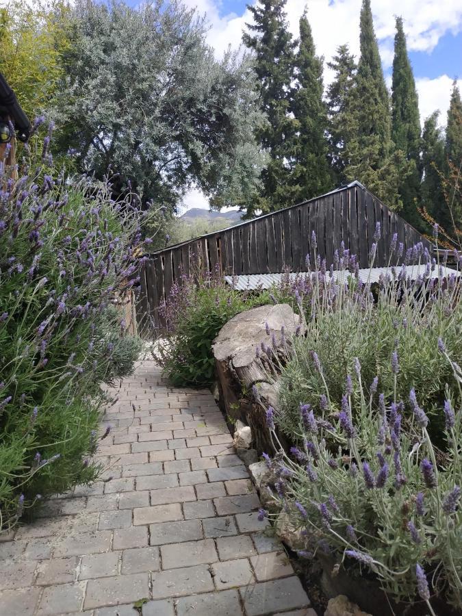 Bed and Breakfast Fundalucia Quentar Екстер'єр фото
